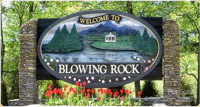 27 Poplar Forest Dr, Boone, NC 28607 - photo 6