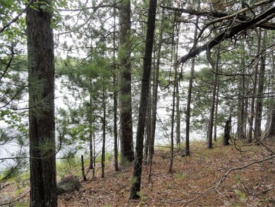Lot 4 Forrester Rd, Tomahawk, WI 54487 - photo 5