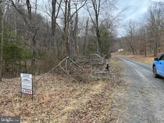 49.76 Acres Ewing Dr, Baker, WV 26801 - photo 4