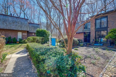 10815 Deborah Dr, Potomac, MD 20854 - photo 4