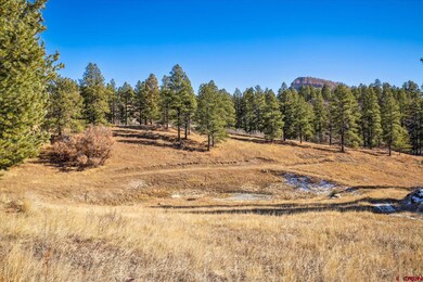 Parcel F Laughing Dog Ln, Durango, CO 81301 - photo 3