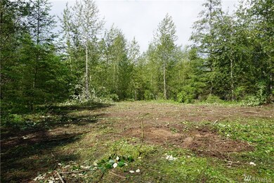 2020 394th St S, Roy, WA 98580 - photo 2