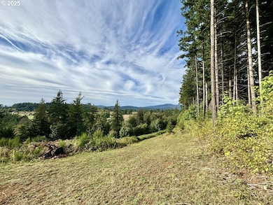 38406 SE Nichols Hill Rd, Washougal, WA 98671 - photo 7