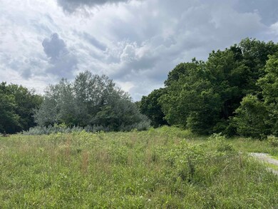 0 8 72 Acres On Meadow Creek Dr, Harrison, AR 72601 - photo 7