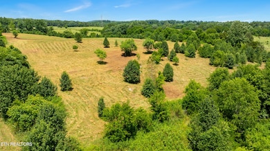 7 Thorngrove Pike, Kodak, TN 37764 - photo 2