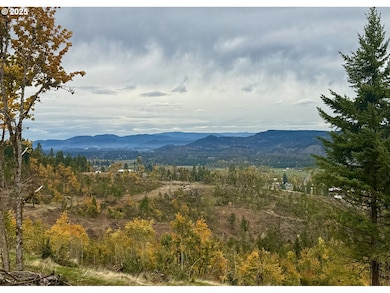 37308 Highway 58, Pleasanthill, OR 97455 - photo 3