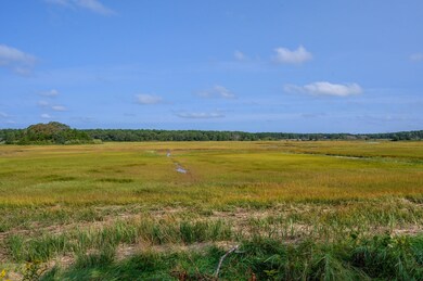 120JT HighTideMarsh