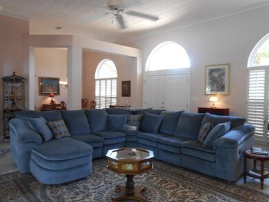 3826 Saber Tooth Circle 011