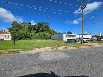 411 Independent St, Bainbridge, GA 39817 - photo 2