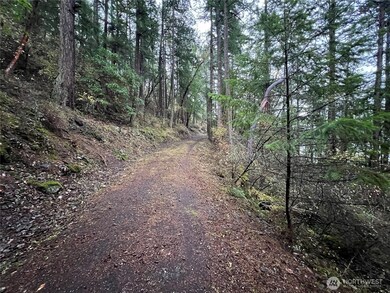 649 Shore Rd, Orcas Island, WA 98245 - photo 7
