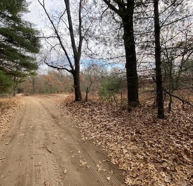 2712 E 88th St, Newaygo, MI 49337 - photo 4