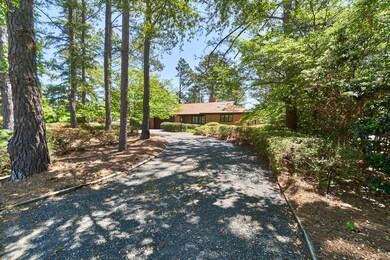 240 Pine Ridge Dr., WP19