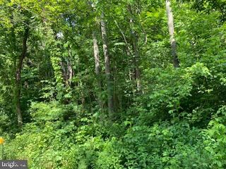 0 High Top Rd unit VAWR140640, Linden, VA 22642 - photo 6