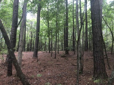 408 Milliken Rd, Pittsboro, NC 27312 - photo 3