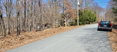 3804 Conashaugh Trail, Dingmans Ferry, PA 18328 - photo 5