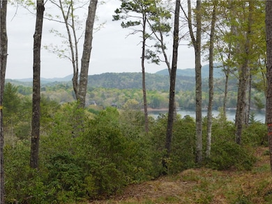 Lot 2 Old Chapman Bridge Rd, Salem, SC 29676 - photo 2