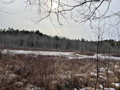 M15L4 Spring Rd, Newfield, ME 04095 - photo 3