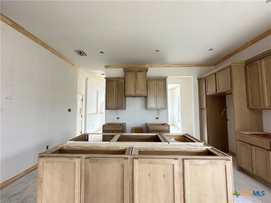 220 Desert Holly Dr, Temple, TX 76502 - photo 7