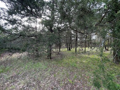 Lot 43A Palmilla Dr, Gordonville, TX 76245 - photo 5