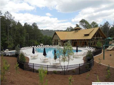 Brand New Pool