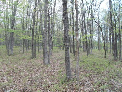 190 Brian Ln, Effort, PA 18330 - photo 6