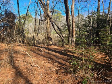 lot 84-3 Davis Drivis, Heathsville, VA 22473 - photo 7