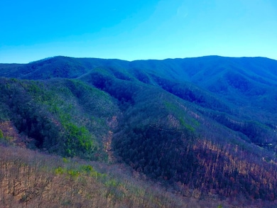 1-A,2-A,3- Ravens Den Way, Sevierville, TN 37862 - photo 6