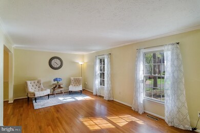 7602 Modisto Ln, Springfield, VA 22153 - photo 7