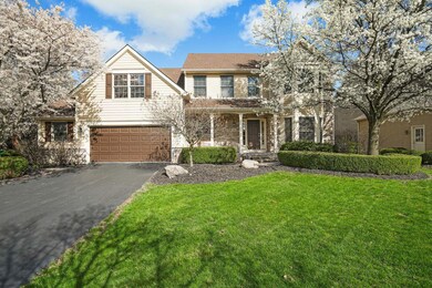5-web-or-mls-DSC06665