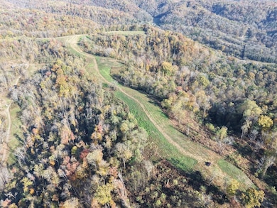 270 Higgins Rd, Woodbury, TN 37190 - photo 3