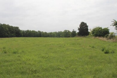 3290 Fords Mill Rd, Versailles, KY 40383 - photo 4