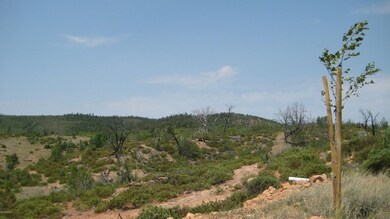 IMG_3363