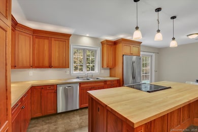 152 Cedar Swamp Rd, Storrs Mansfield, CT 06268 - photo 7