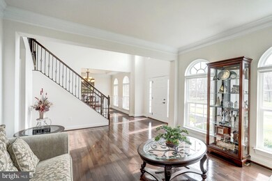 41602 Revival Dr, Ashburn, VA 20148 - photo 4