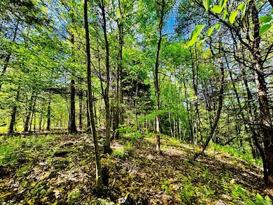 LOT 10 Paradise Rd, Todd Township, PA 16657 - photo 3