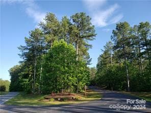 Ridgeview Entrance-Loblolly Lane~~