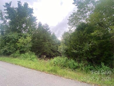 207 Parris Rd, Blacksburg, SC 29702 - photo 6