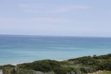 NATURE PRESEVE/OCEANVIEW
