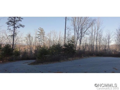 54 Timber Moss Dr, Asheville, NC 28804 - photo 4