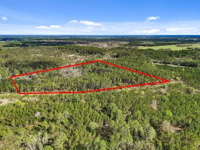 00 SE 51st Way, Trenton, FL 32693 - photo 6