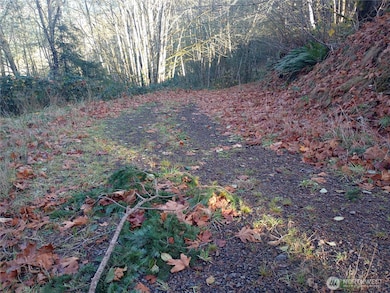 167 Wagner Rd, Kelso, WA 98626 - photo 7