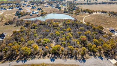 119 Chisum Dr, Millsap, TX 76066 - photo 6