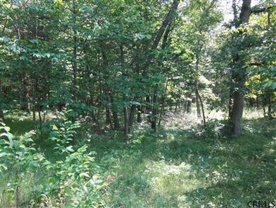 0 Post Hill Rd unit 201411258, Taghkanic, NY 12502 - photo 4