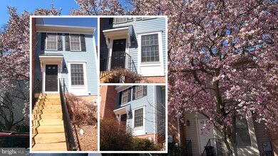 5023 9th St S, Arlington, VA 22204 - photo 2