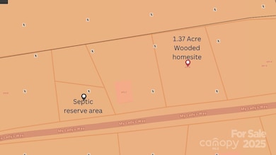 6918 My Lady's Way, Waxhaw, NC 28173 - photo 3