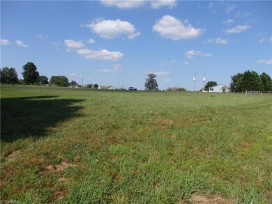 00 Pleasant Ridge Rd, Franklinville, NC 27248 - photo 3