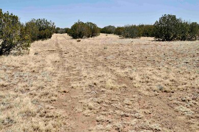 Chilcott Lot 134 003