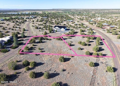 8455 W Yucca Place, Show Low, AZ 85901 - photo 6