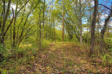 25140 Shurtz Rd, New Plymouth, OH 45654 - photo 7