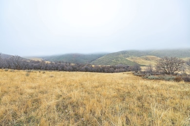 300 N Canyon Rd, Malad City, ID 83252 - photo 6